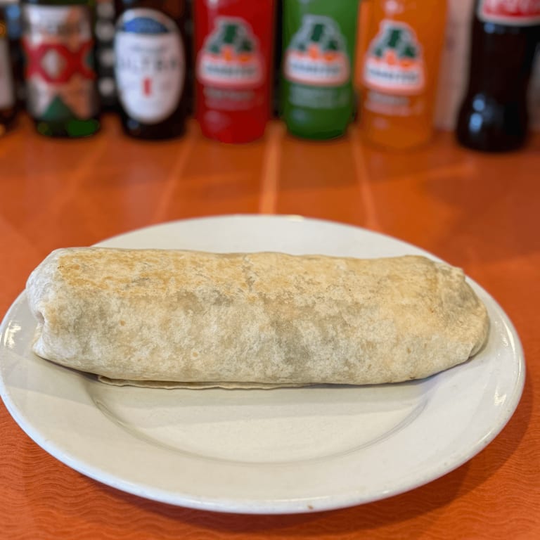 Delicious Chicken Burrito
